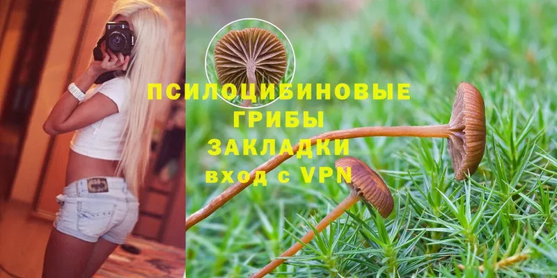 Галлюциногенные грибы MAGIC MUSHROOMS  Железноводск 